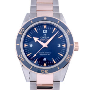 Seamaster 300 Master