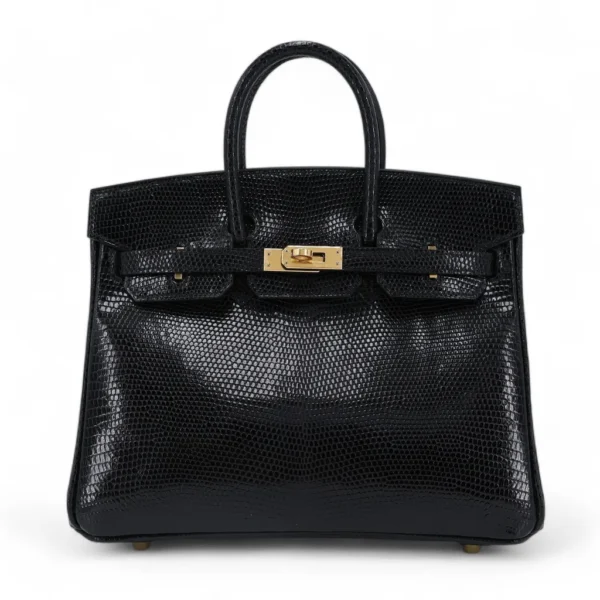 Birkin 25 Lizard