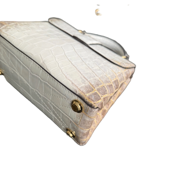 LV Rose Des Vents Himalayan - Image 4