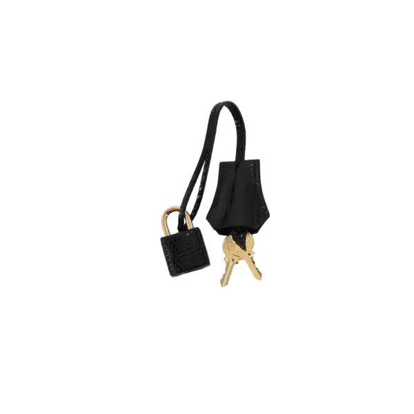 Birkin 25 Lizard - Image 14