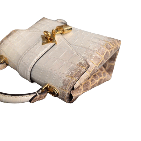 LV Rose Des Vents Himalayan - Image 3
