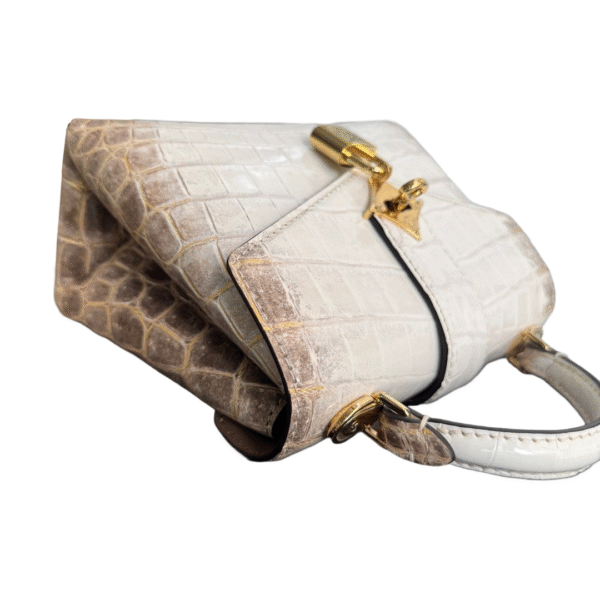 LV Rose Des Vents Himalayan - Image 10