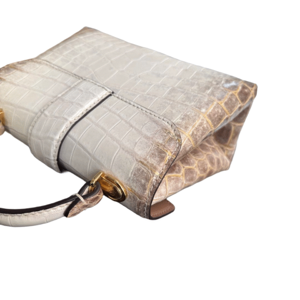 LV Rose Des Vents Himalayan - Image 11