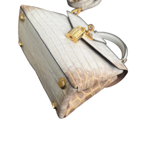LV Rose Des Vents Himalayan - Image 7