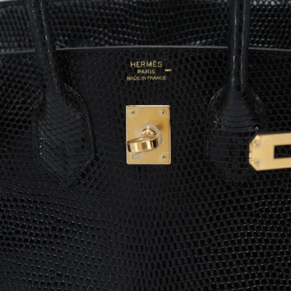 Birkin 25 Lizard - Image 8