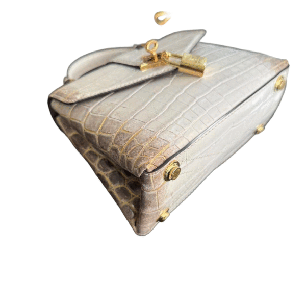 LV Rose Des Vents Himalayan - Image 6