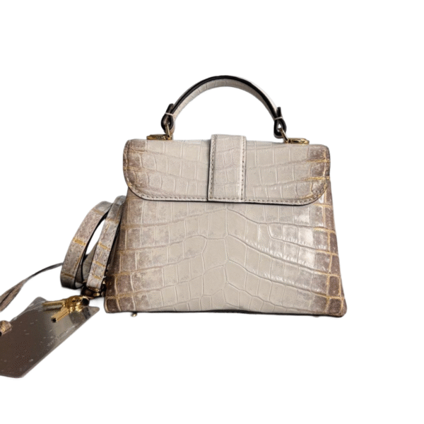 LV Rose Des Vents Himalayan - Image 2