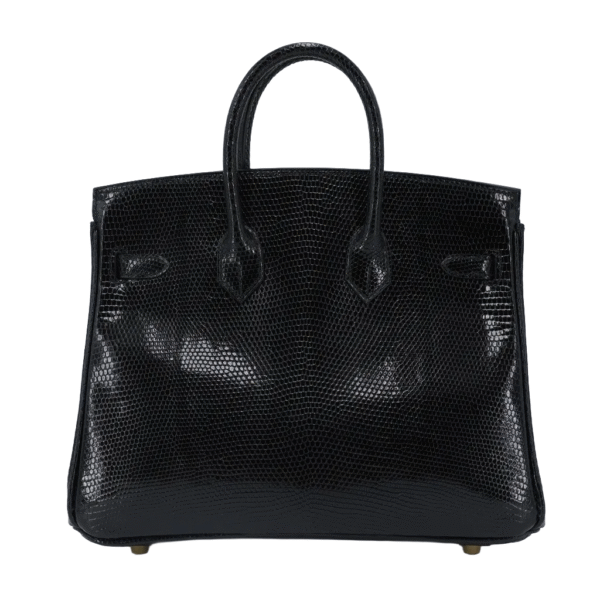 Birkin 25 Lizard - Image 2